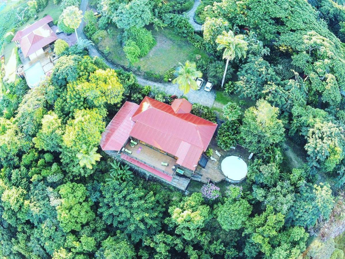 Villa Du Jardin Botanique, Ex. Propriete Coluche Deshaies Exterior foto